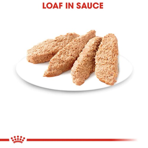 Alimento Húmedo Gato Cachorro Loaf in Sauce 165g Royal Canin