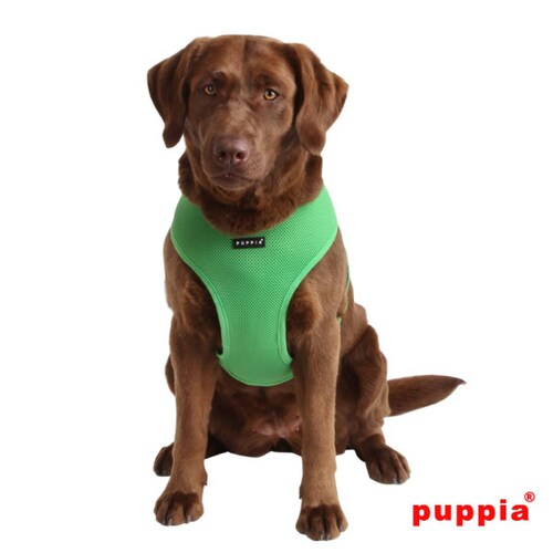 ArnÃ©s Puppia Verde