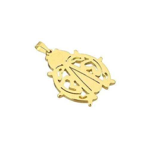 Kit Dije Cadena Aretes En Foma De Catarina Dorada Acero Inox 