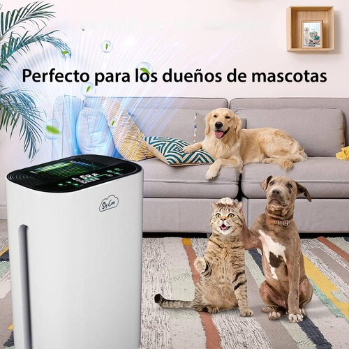 Purificador De Aire Ionizador Para Casa y Oficina Hasta 250m2 