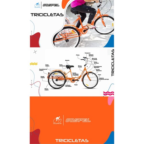 Tricicleta R24 1 Velocidad Canasta Trasera Naranja 