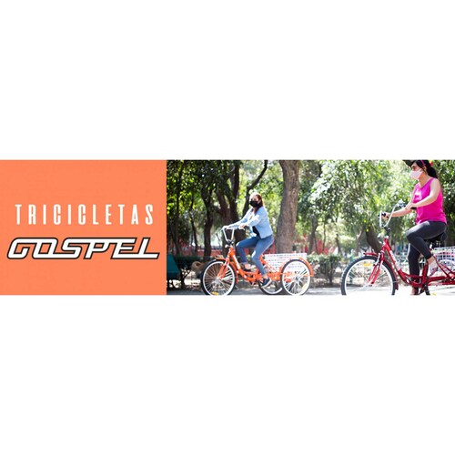 Tricicleta R24 1 Velocidad Canasta Trasera Naranja 