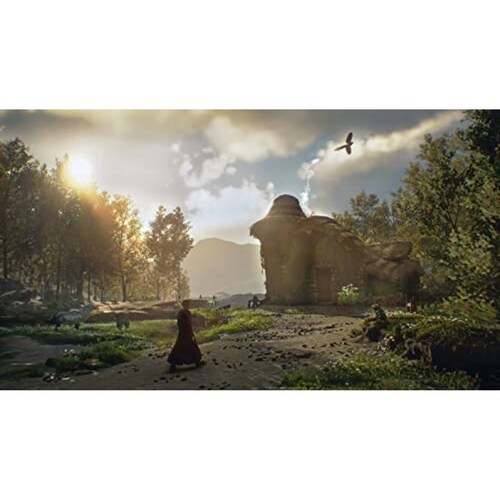 Hogwarts Legacy Collector's Edition - Xbox Series X