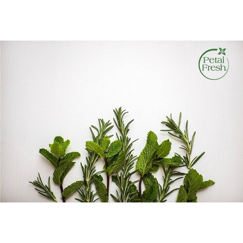 Petal Fresh Acondicionador  Romero Y Menta Voluminizador