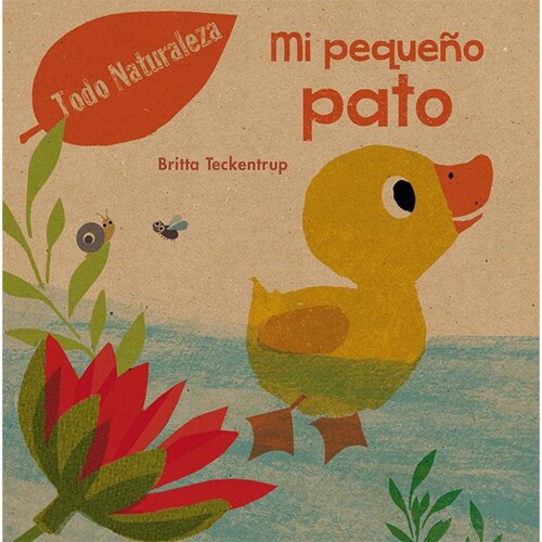Mi pequeño pato 