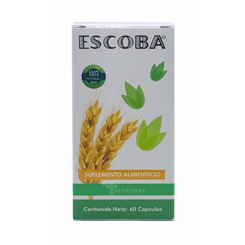 Fibra Escoba intestinal 60 cápsulas 