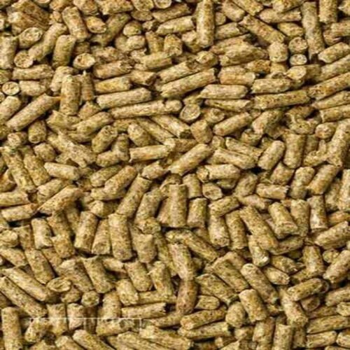 Alimento Cuyo Alimento Mazuri Para Cuyo Cobaya 1.3kg