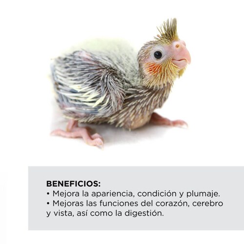 Papilla Kaytee Exact Todo Tipo de Polluelo 510gr