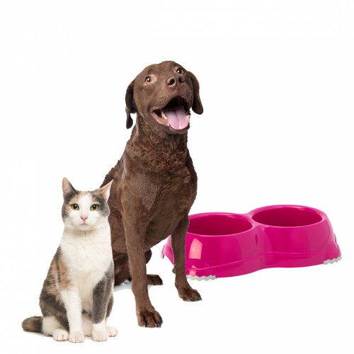 Plato Para Gato y Perro Doble Smarty antideslizante Chico