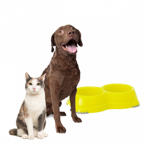 Plato Para Gato y Perro Doble Smarty antideslizante Chico