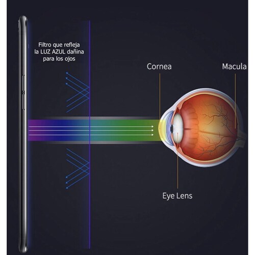 Mica De Hidrogel Anti Luz Azul para ASUS Todos Modelos
