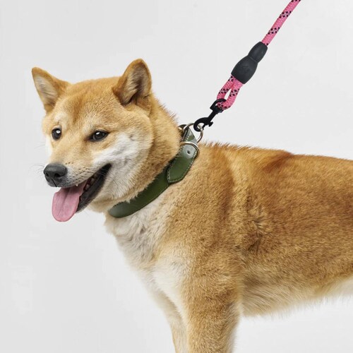 Correa para perro gato o Mascotas Corta y Gruesa 125 cm 