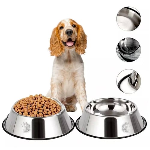 Plato y Correa para Perro o Mascota Chica Negro.