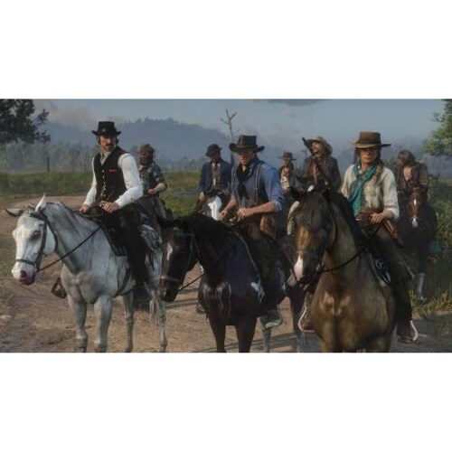 Red Dead Redemption 2 Xbox One - S001 