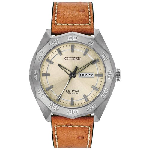 Reloj Citizen Eco-Drive Caballero Café Ttm AW0060-11P - S022 