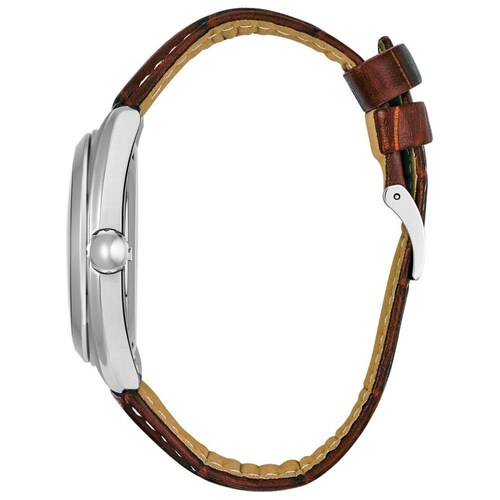 Reloj Citizen Eco-Drive Caballero Café Dr BU4010-05L - S022 