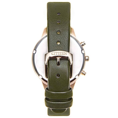 Reloj Citizen Eco-Drive Chandler FB2008-01D Para Mujer 