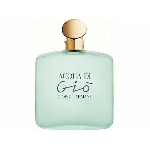 Perfume Acqua Di Gio de Giorgio Armani EDT 100 ml 