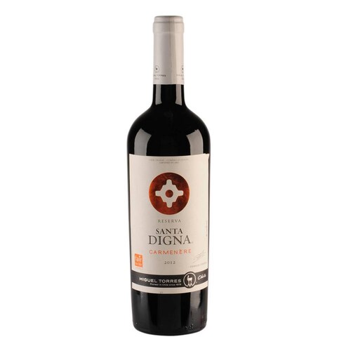Pack de 6 Vino Tinto Torres Santa Digna Reserva Carmenere 750 ml 