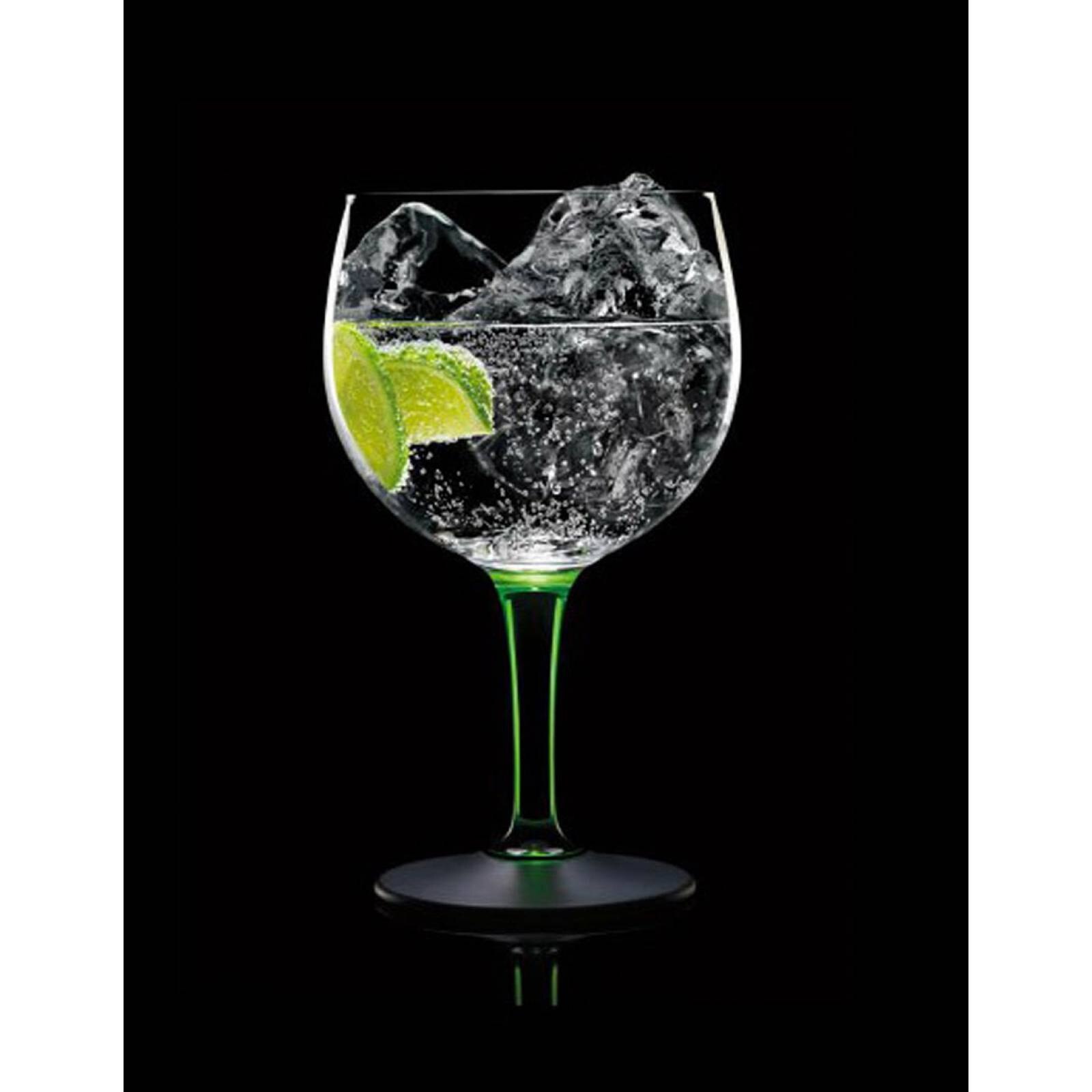 Pack de 4 ginebra oso negro 1 l Sears