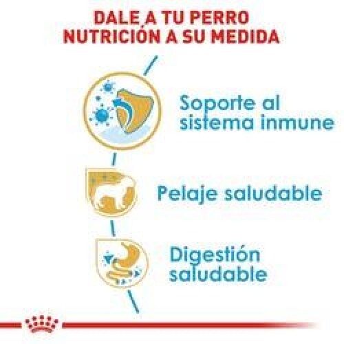 Alimento para perro Royal Canin Wet Mature Lata 170Gr 