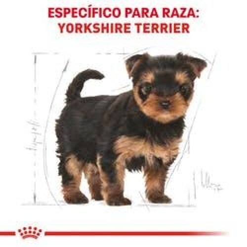 Alimento para perro Royal Canin Yorkshire Terrier Puppy de 1.13Kg 