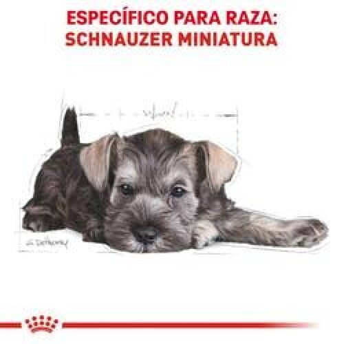 Alimento para perro Royal Canin Miniature Schnauzer Puppy de 1.1Kg 