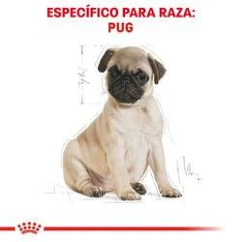 Alimento para perro Royal Canin Pug Puppy de 1.1Kg 