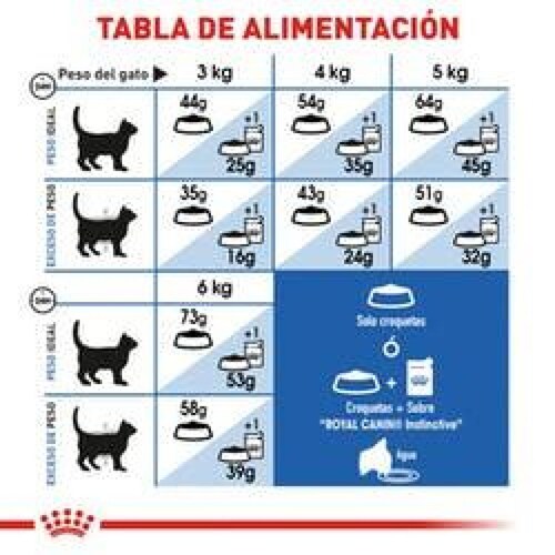 Alimento para gato Royal Canin Indoor Adult de 1.3Kg 