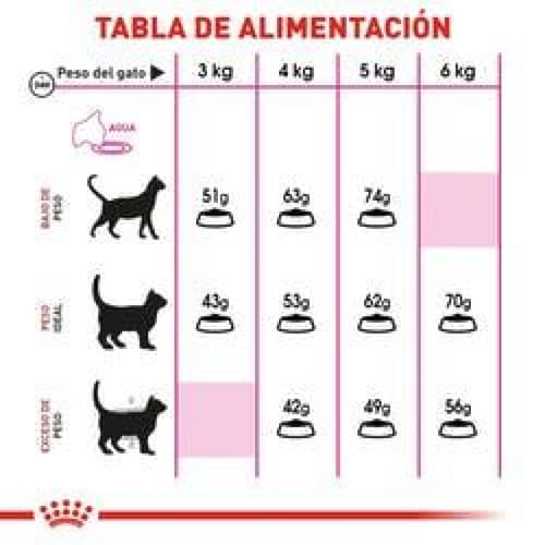 Alimento para gato Royal Canin Selective Savor Sensation de 2.7Kg 