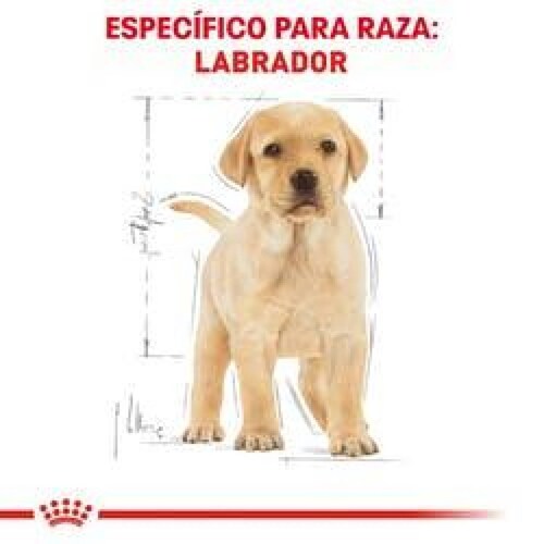 Alimento para perro Royal Canin Labrador Retriever Puppy 13.6Kg 