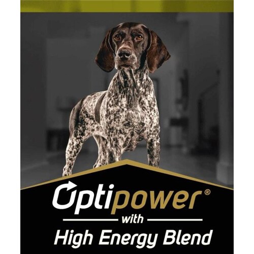 Alimento para perro ProPlan Performance de 13Kg 