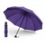 Paraguas Canotagio automatico y amplio para sol y lluvia Violeta