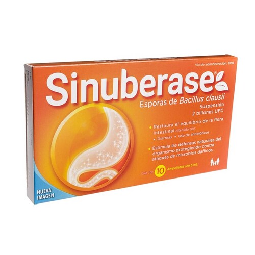 Sinuberase Ingerible 1 Frasco Solucion 5 Ml