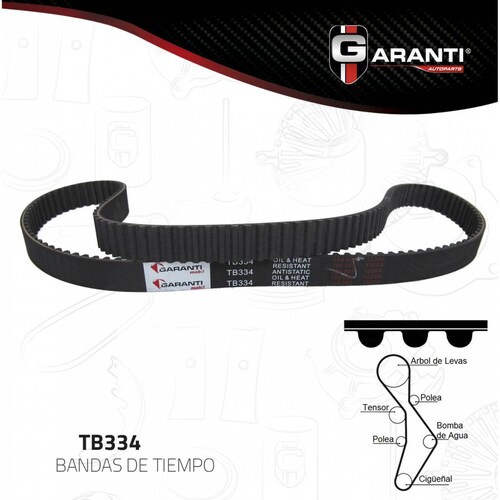 Banda Tiempo Para Volkswagen Jetta 2006 - 2009 (Garanti) 