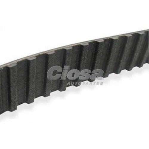 Banda Tiempo Para Renault Kamgoo Express 2005 - 2009 (Gates) 