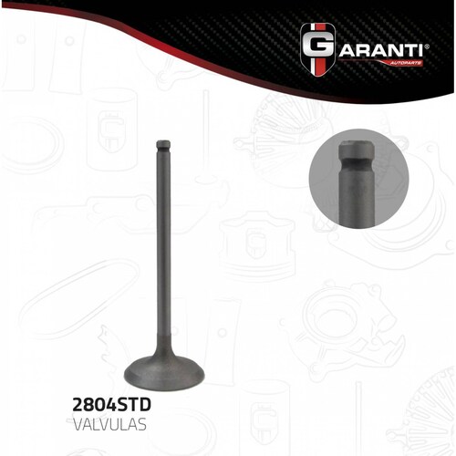 Valvula Admision Para Honda Passport 1994 - 1997 (Garanti) 