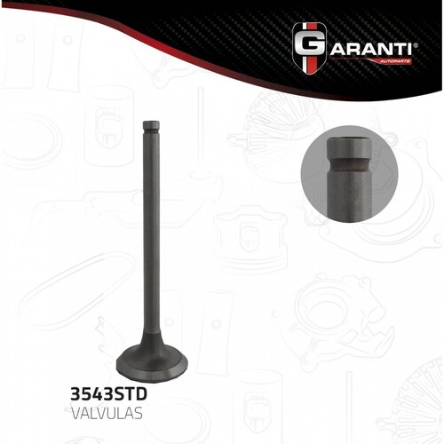 Valvula Escape Para Chevrolet Corsica 1996 - 1996 (Garanti) 