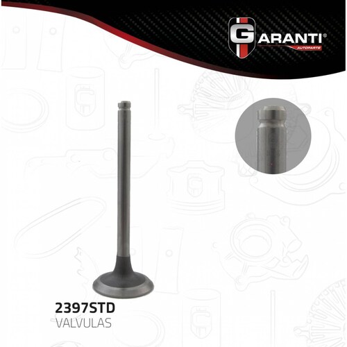 Valvula Escape Para Chevrolet Astro 1989 - 1990 (Garanti) 