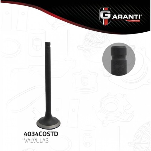Valvula Escape Para Chevrolet Corsica 1996 - 1996 (Garanti) 