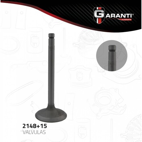 Valvula Admision Para Gmc Safari 1985 - 1986 (Garanti) 