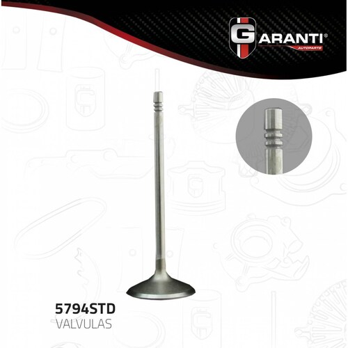 Valvula Admision Para Cadillac Bls 2007 - 2008 (Garanti) 