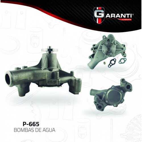 Bomba Agua Para Chevrolet C10 1980 - 1987 (Garanti) 