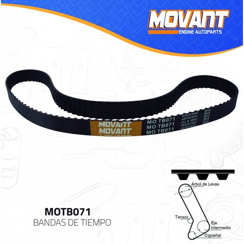 Banda Tiempo Para Dodge Dakota 1987 - 1988 (MOVANT) 