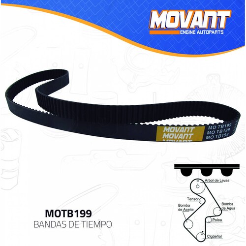 Banda Tiempo Para Toyota Camry 1987 - 2001 (MOVANT) 