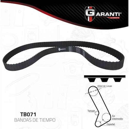 Banda Tiempo Para Dodge Dart 1982 - 1988 (Garanti) 