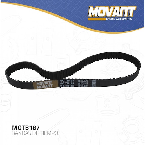 Banda Tiempo Para Honda Odyssey 1995 - 1997 (GARANTI) 