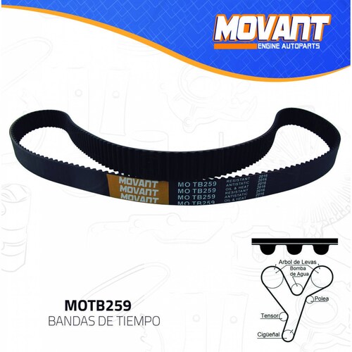 Banda Tiempo Para Mitsubishi Montero Sport 1997 - 2003 (MOVANT) 
