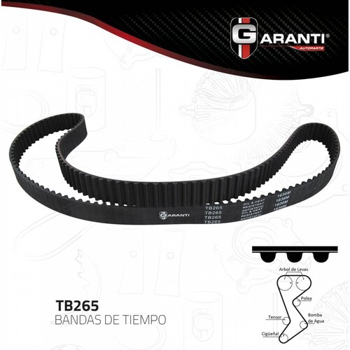 Banda Tiempo Para Dodge Stratus 1995 - 2006 (Garanti) 