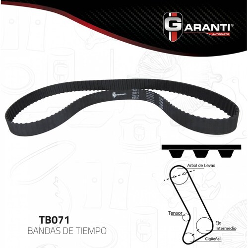Banda Tiempo Para Chrysler Volare 1982 - 1988 (Garanti) 